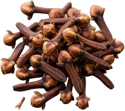 Premium Cloves from Indonesia - Savaglo - Part of PT Satvika Adikara Global